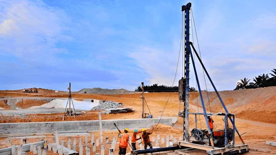 harga paku bumi terbaru