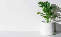 rooftop rumah minimalis