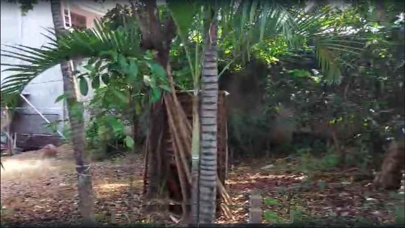 dijual cepat tanah girik di kebon jeruk jakarta barat