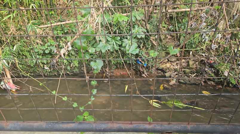 dijual rumah cibinong bogor