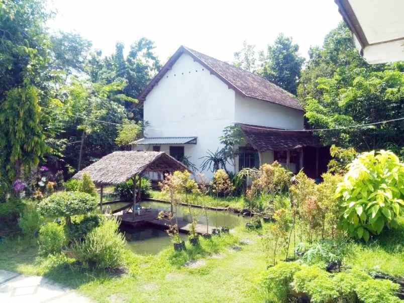 dijual rumah desa tawangrejo kec