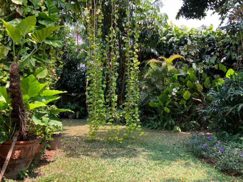 dijual rumah di jalan bangka jakarta selatan