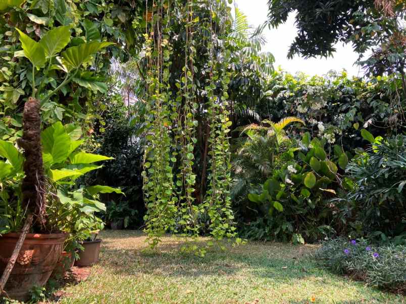 dijual rumah di jalan bangka jakarta selatan