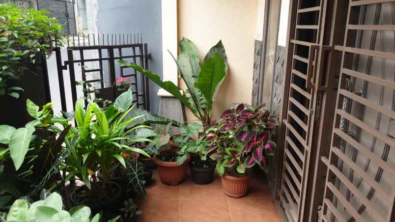 dijual rumah jalan budi