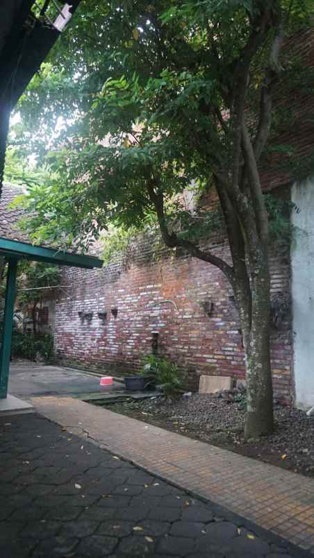 dijual rumah jl tlogo suryo