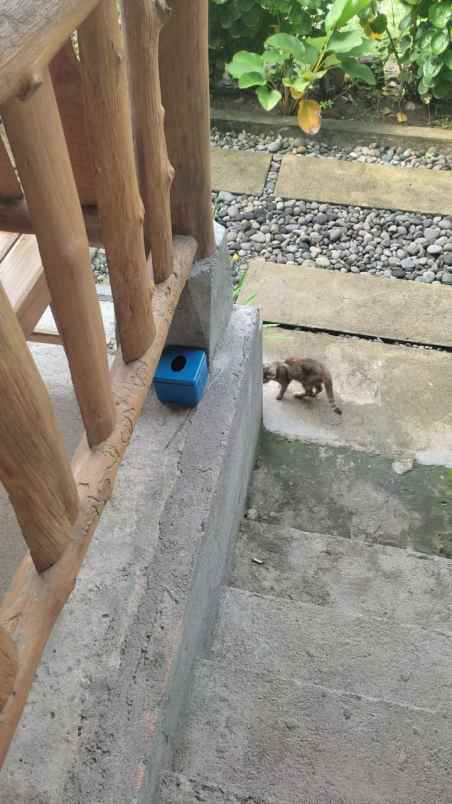 dijual rumah purwomartani