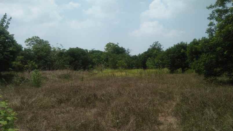 dijual rumah sidodadi samarinda hulu kalimantan timur