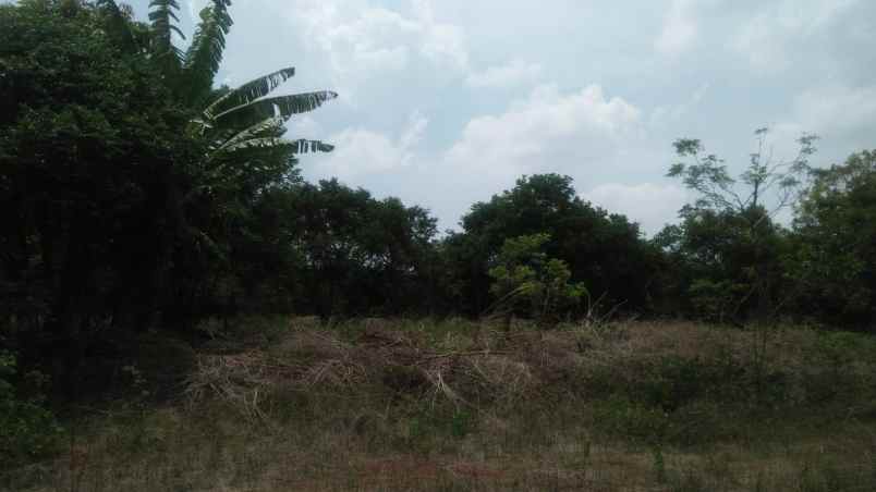 dijual rumah sidodadi samarinda hulu kalimantan timur