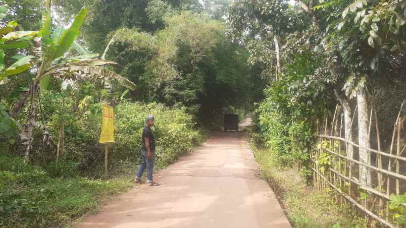 dijual rumah sidodadi samarinda hulu kalimantan timur