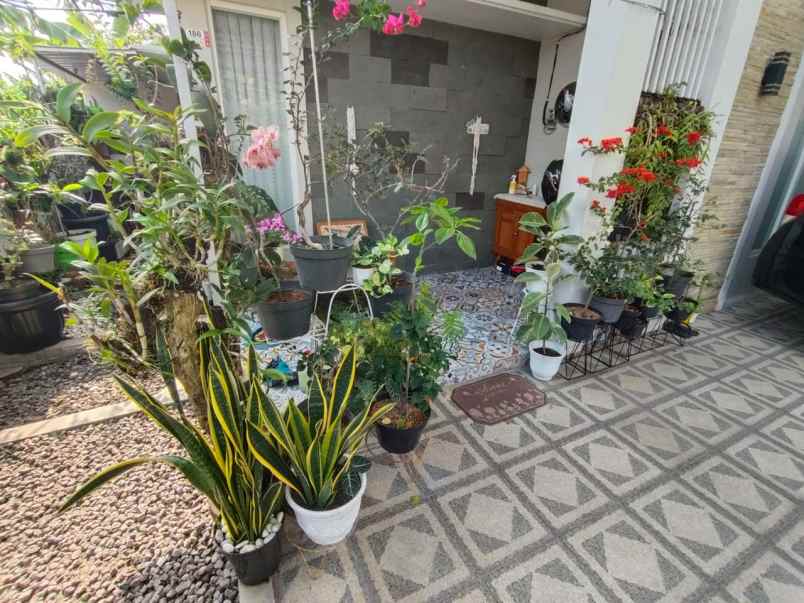 dijual rumah sleman