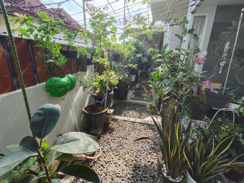 dijual rumah sleman