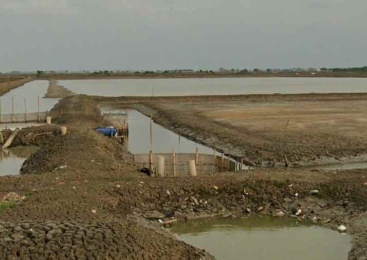 dijual tanah 500 hektar pakis karawang