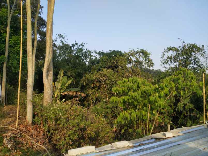 dijual tanah asri strategis dikawasan dago