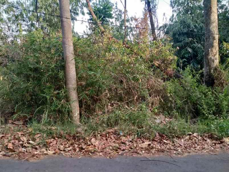 dijual tanah asri strategis dikawasan dago