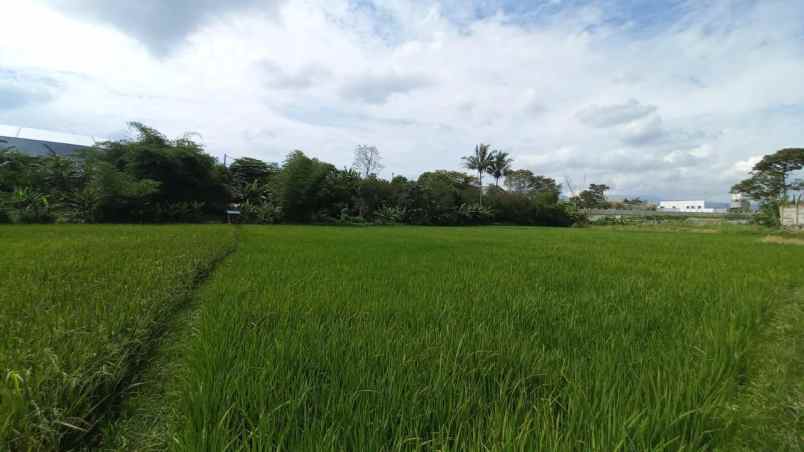 dijual tanah batujajar