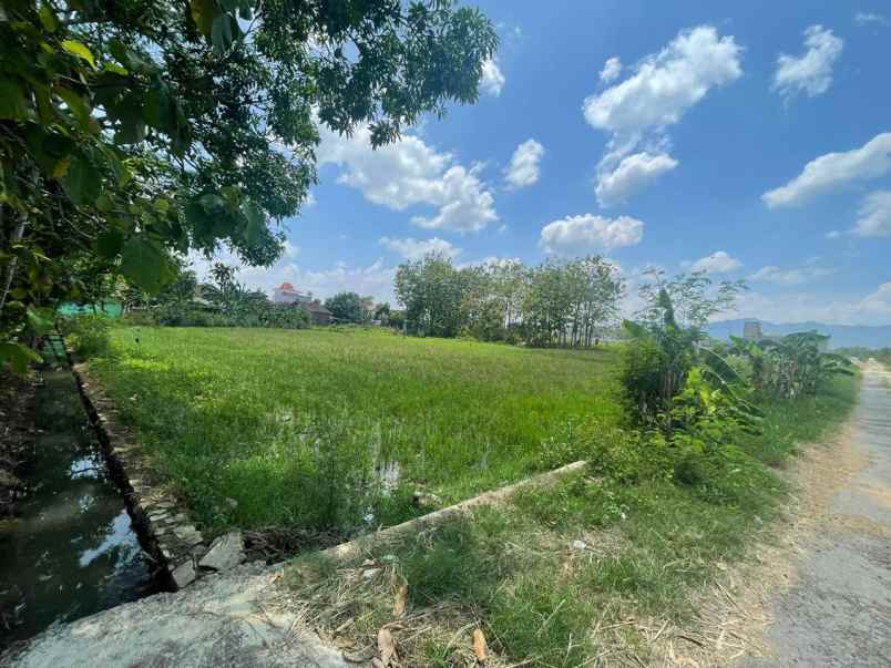 dijual tanah belakanag balai desa kel