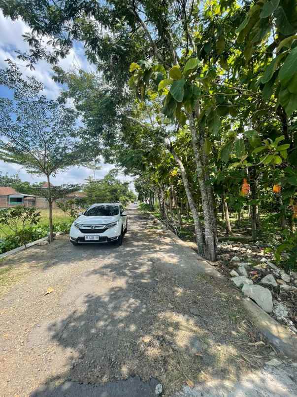 dijual tanah belakanag balai desa kel