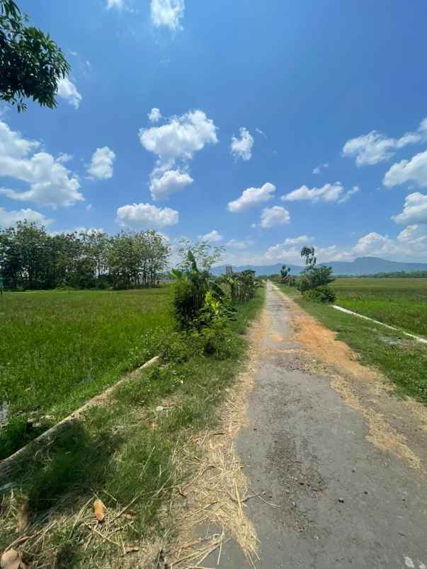 dijual tanah belakanag balai desa kel