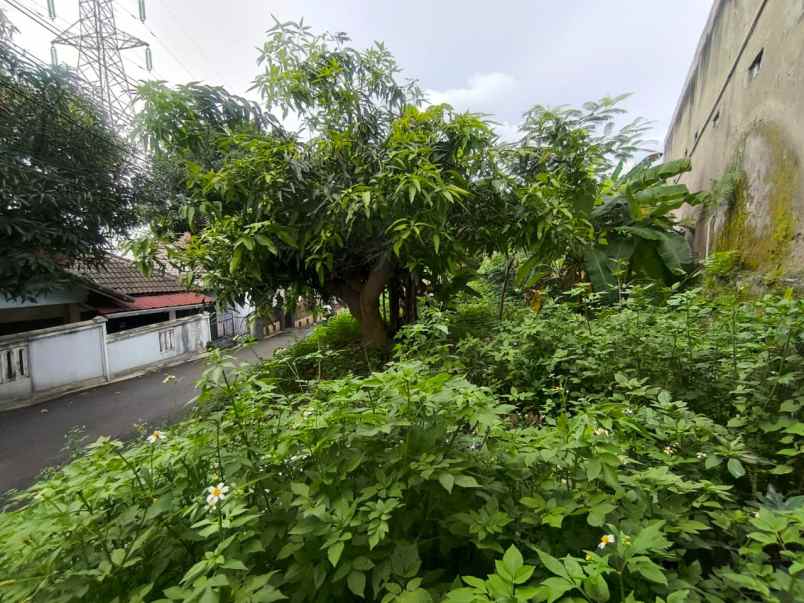 dijual tanah belakang pasar jatingaleh