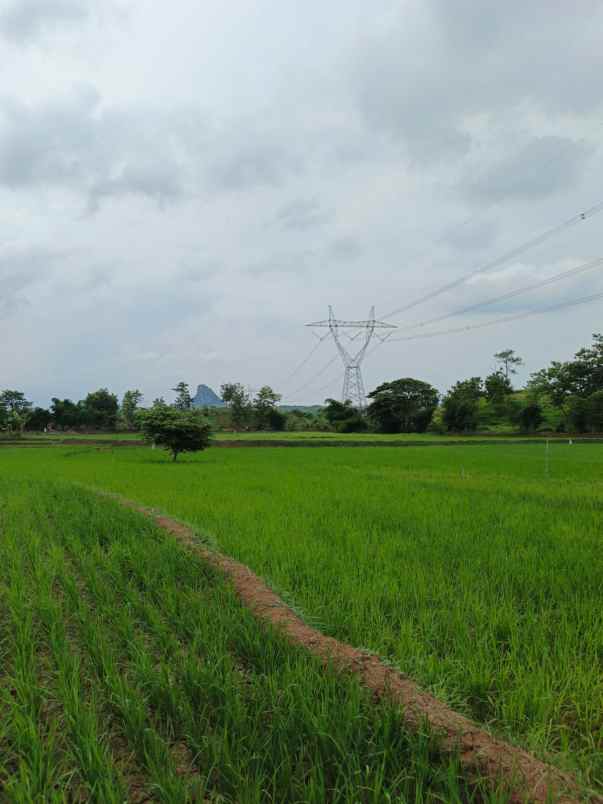 dijual tanah darmawangi