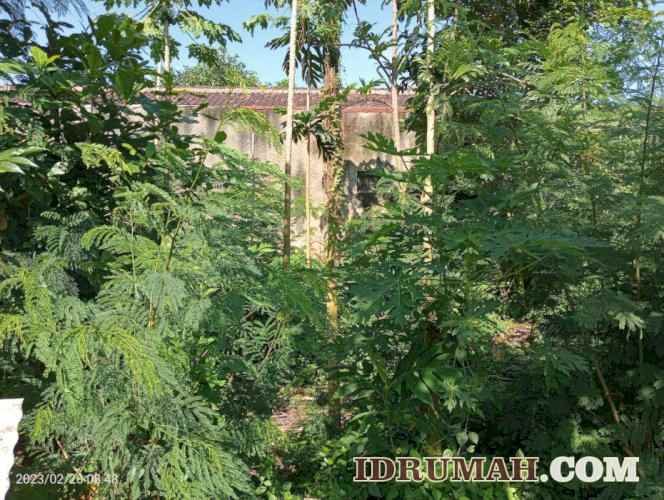 dijual tanah dengan bangunan tua masaran sragen