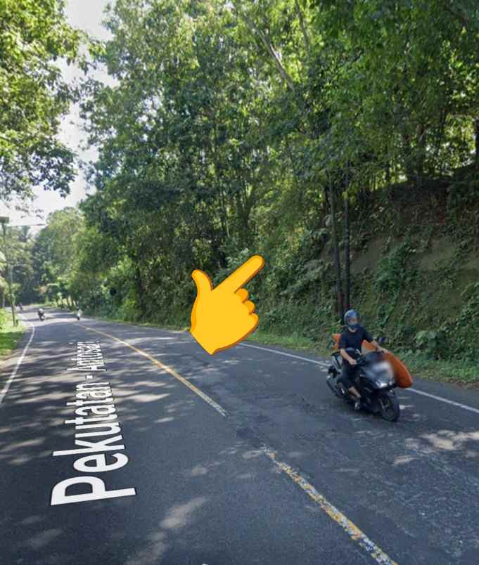 dijual tanah desa antap kec selemadeg