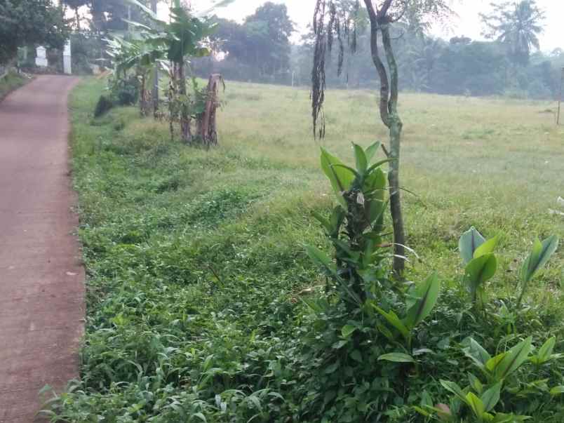 dijual tanah desa bojongmekar kecamatan