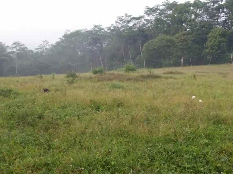 dijual tanah desa bojongmekar kecamatan