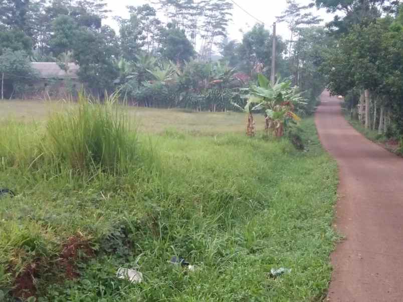 dijual tanah desa bojongmekar kecamatan