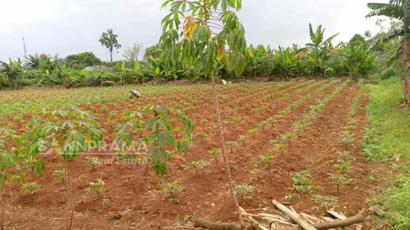 dijual tanah di daerah bedahan sawangan