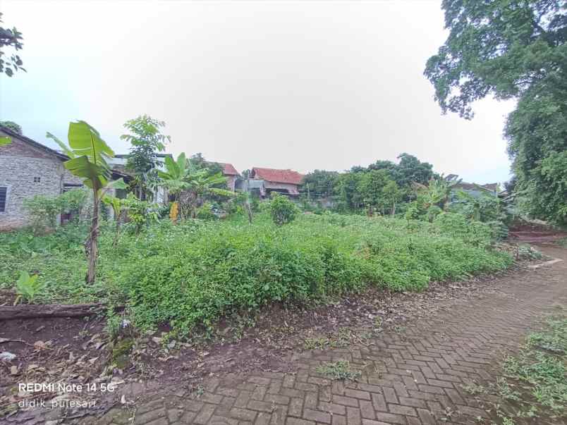 dijual tanah di kramas tembalang semarang