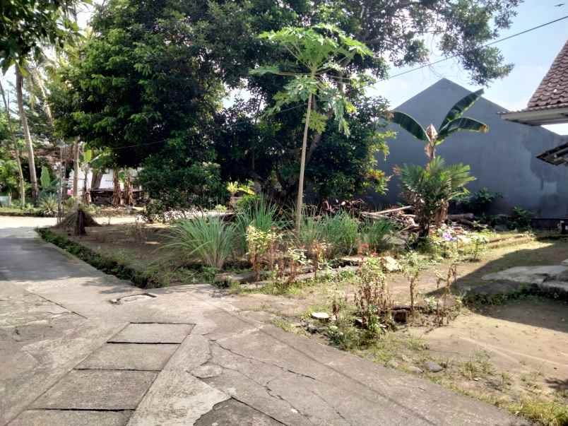 dijual tanah gg elang 4a dayakan