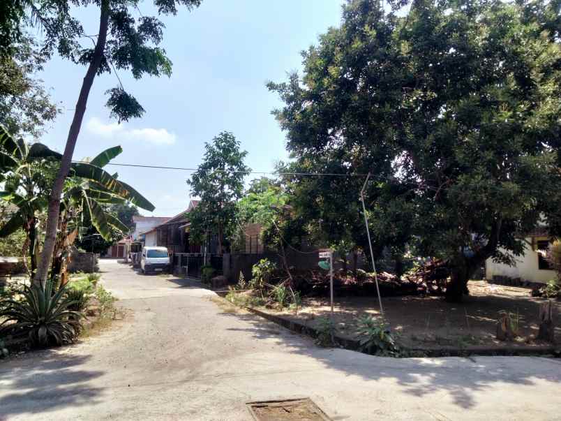 dijual tanah gg elang 4a dayakan