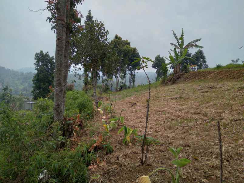 dijual tanah jalan sukamantri kolega