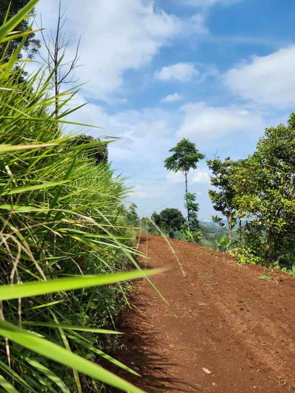 dijual tanah jl arcamanik