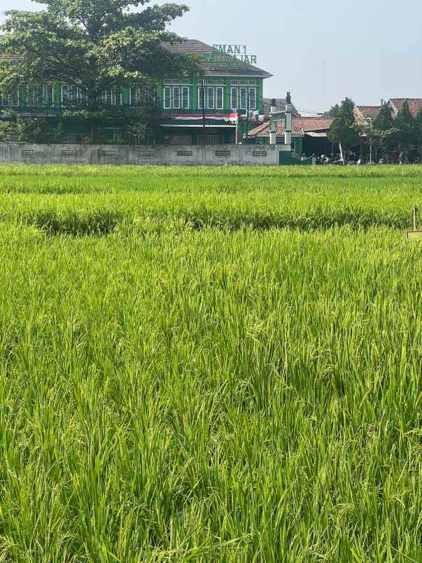 dijual tanah jl cimareme batujajar kbb