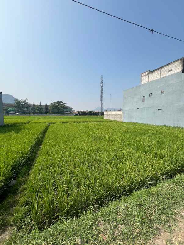 dijual tanah jl cimareme batujajar kbb