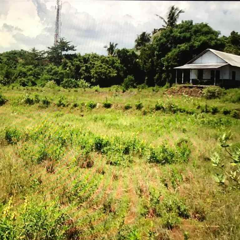 dijual tanah jl raya amlapura singaraja