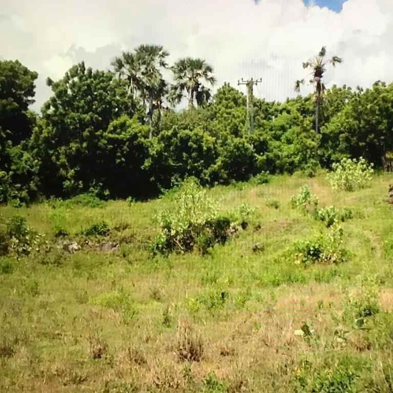 dijual tanah jl raya amlapura singaraja