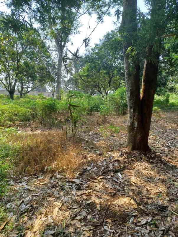 dijual tanah jl raya parung bogor