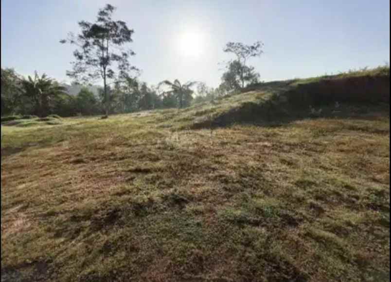 dijual tanah jl wonosari putat kec