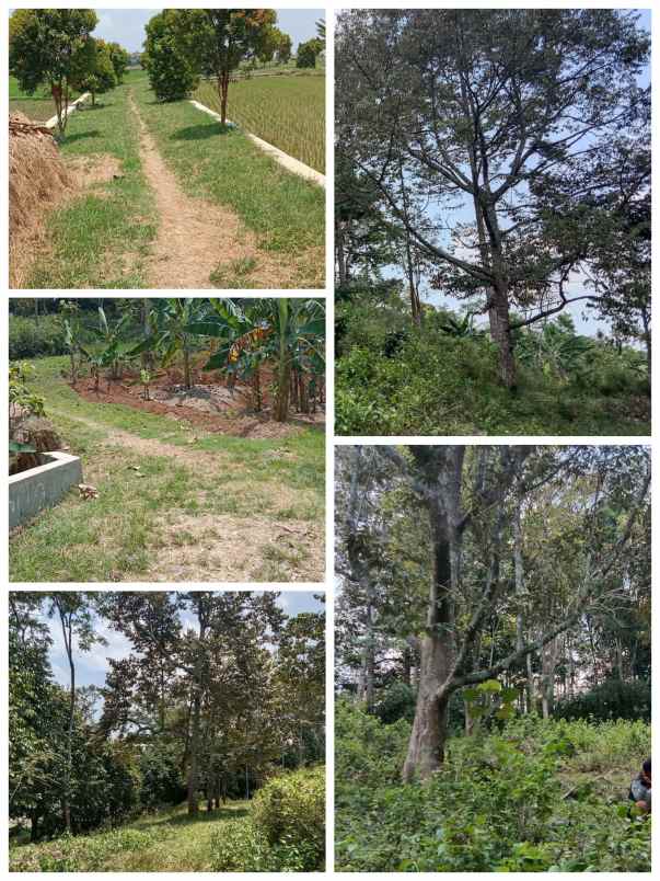 dijual tanah karanganyar