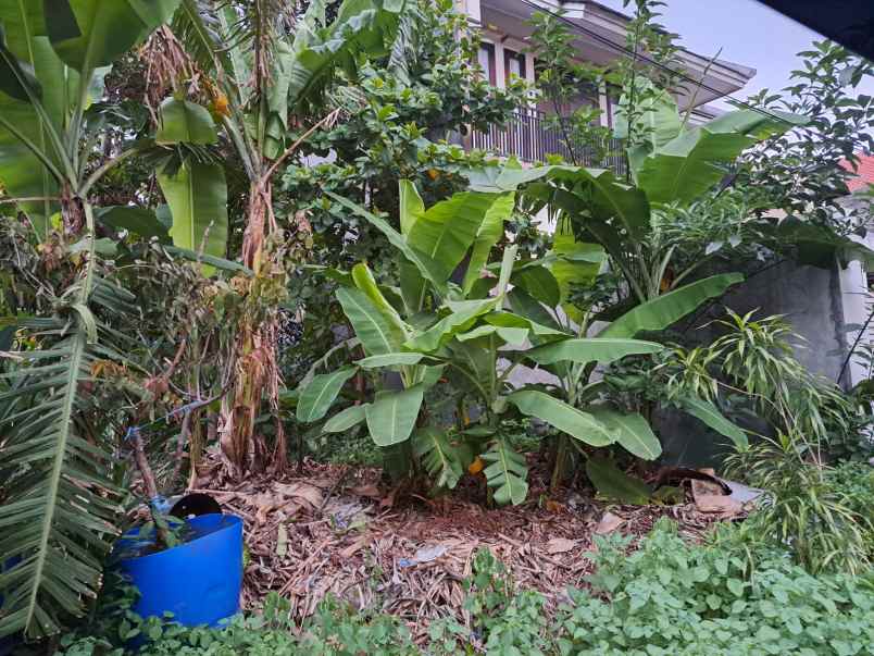 dijual tanah kavling kowilhan setu