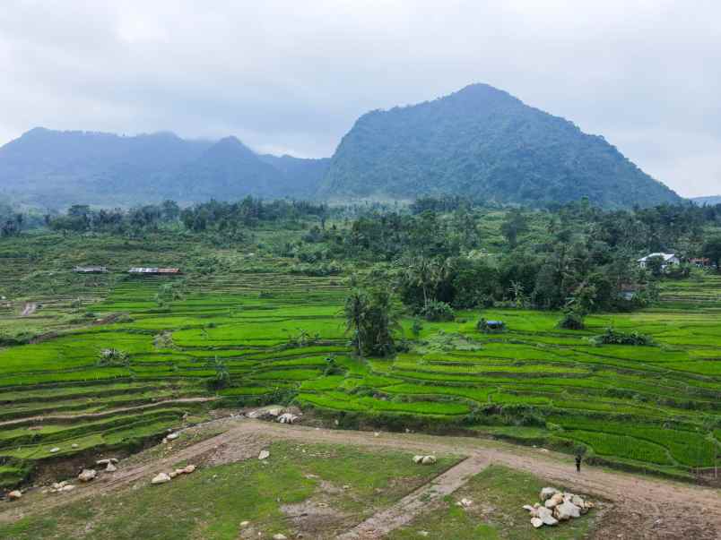 dijual tanah kavling nuansa alam heritage