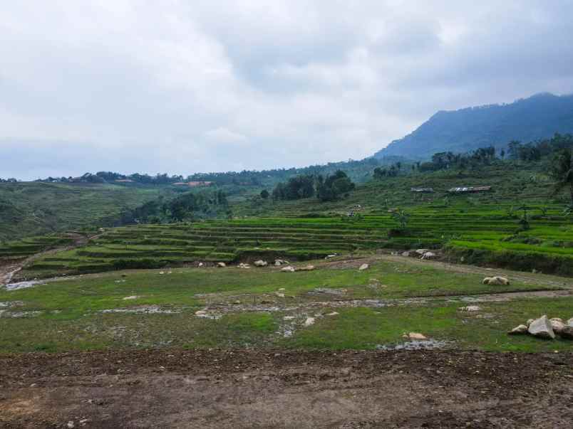 dijual tanah kavling nuansa alam heritage