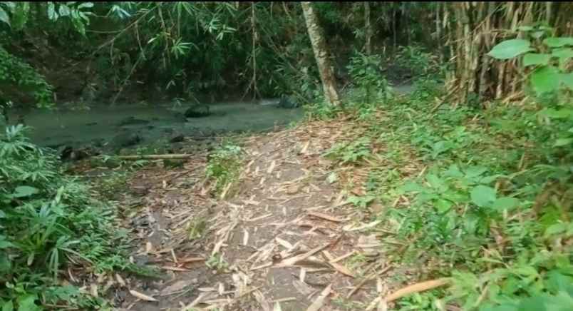 dijual tanah kebun los sungai murah