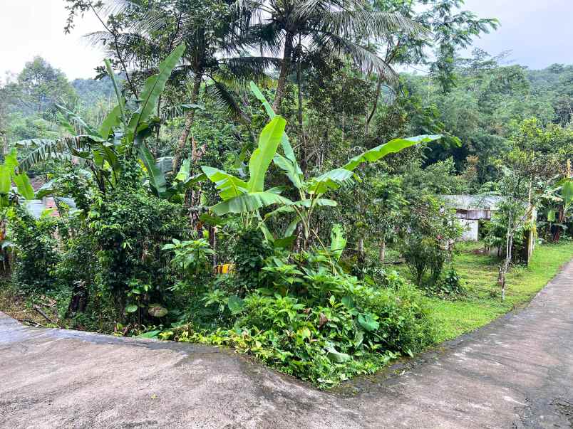 dijual tanah kemuning ngargoyoso