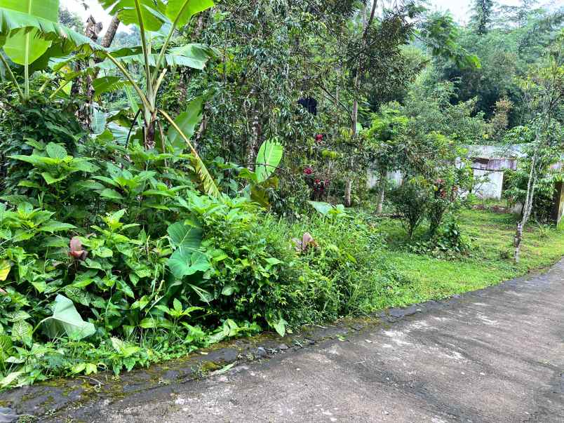 dijual tanah kemuning ngargoyoso