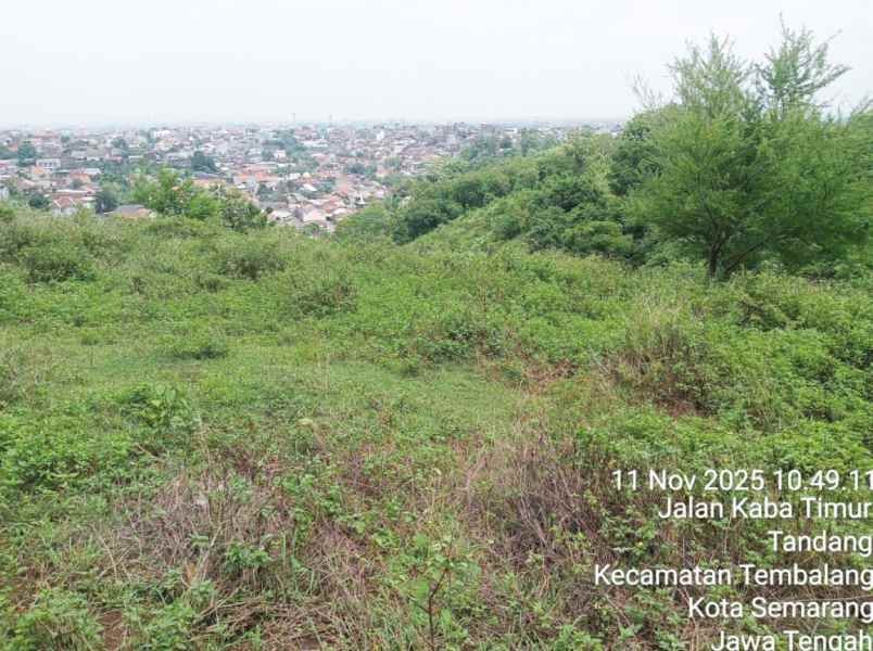 dijual tanah kp tlumpak rt 001 rw 05