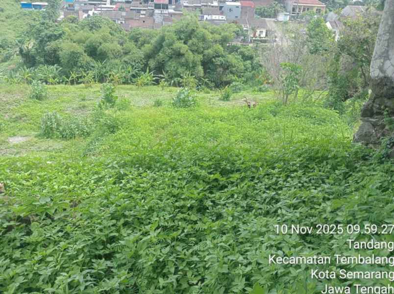 dijual tanah kp tlumpak rt 001 rw 05